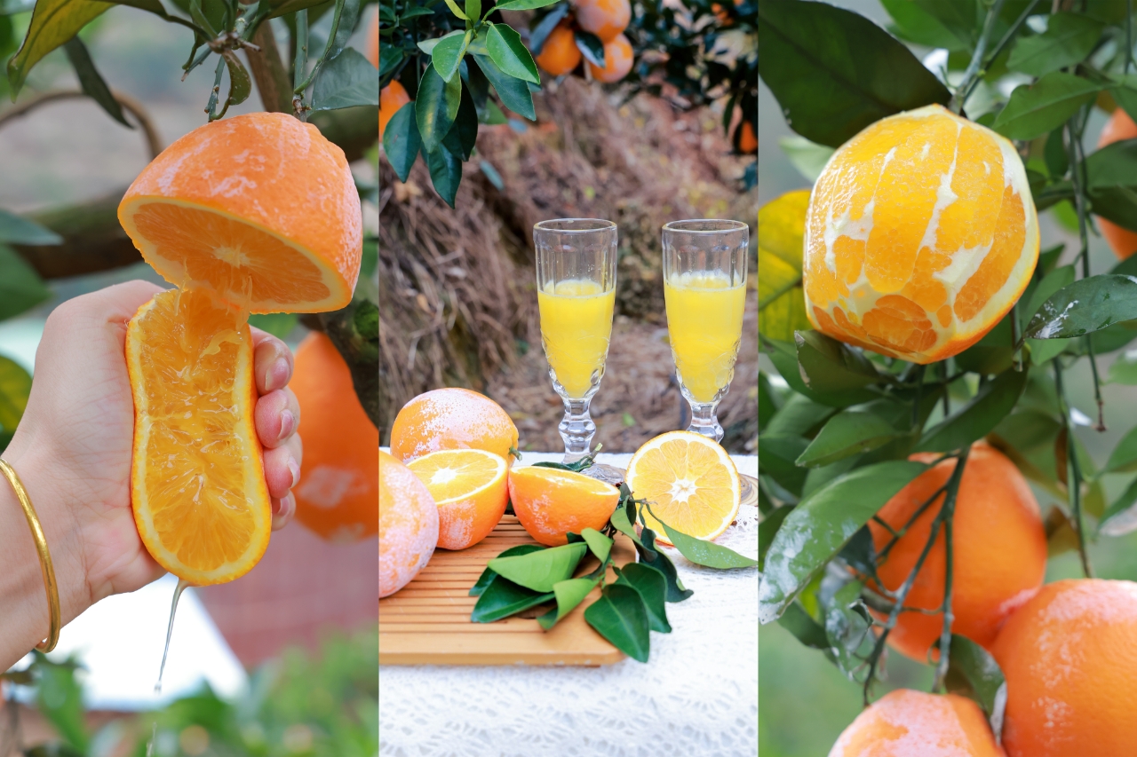 6e7cf462a595408a7c70c1ace1bc33c.jpg 6e7cf462a595408a7c70c1ace1bc33c.jpg